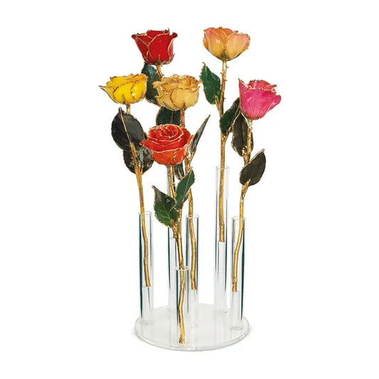 Acrylic Display for Forever Roses